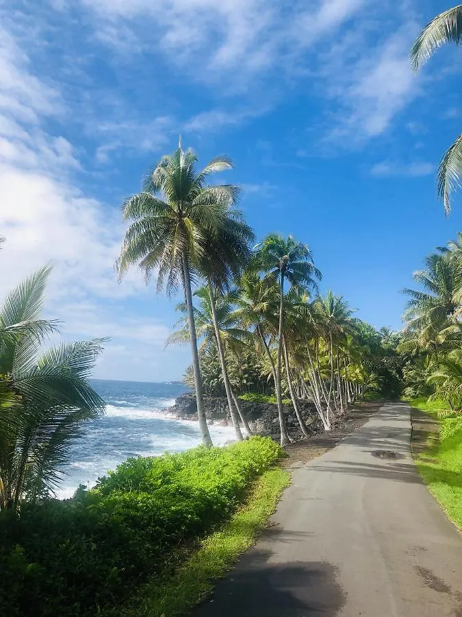 Pahoa The Jewel Box Home